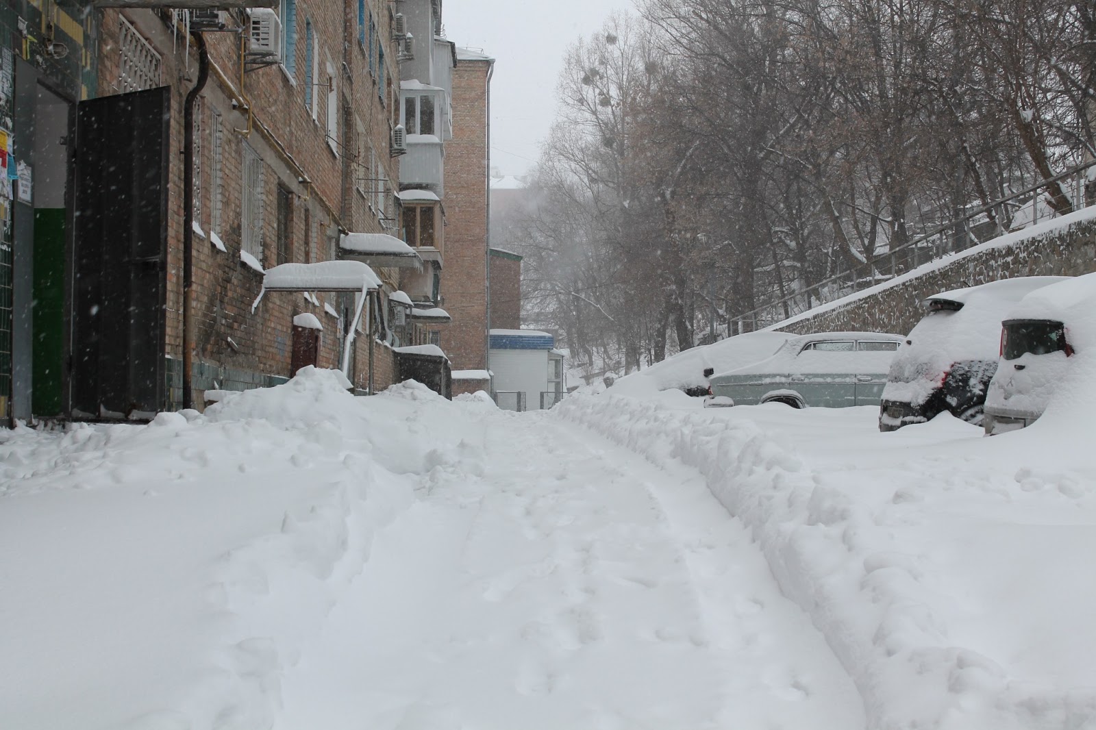 Погода в г.островной мурманской обл
